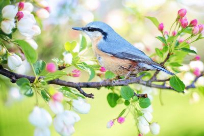 Why Late Spring Is the Best Time to List
