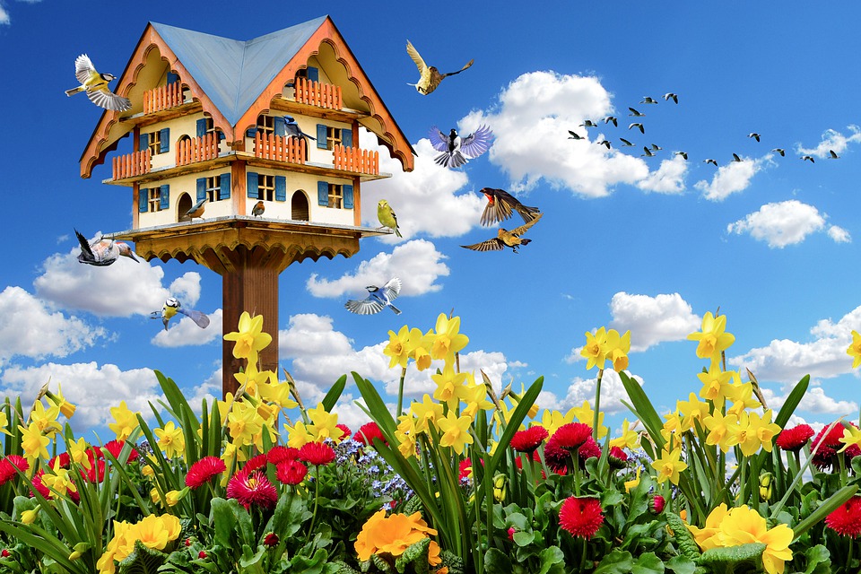 6 Things You’ll Love—and Hate—About Buying a Home This Spring